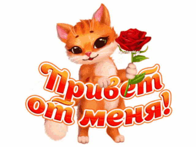 Живой gif стикер с кошкой "Привет от меня" на прозрачном фоне. Живой gif стикер с кошкой "Привет от меня" на прозрачном фоне.