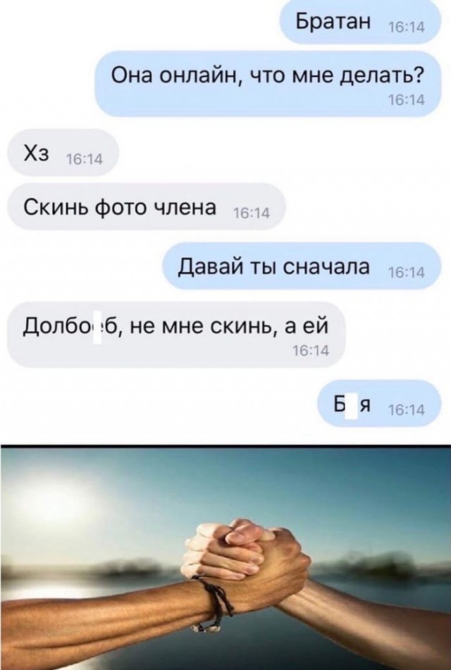 Хостинг картинок yapx.ru