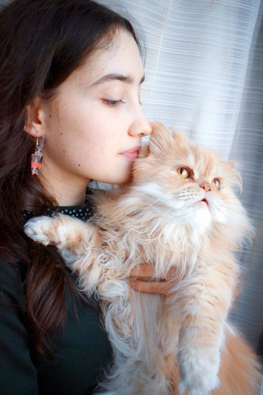 Мимишное фото с котом.