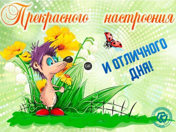 Гифки хорошего дня и прекрасного настроения