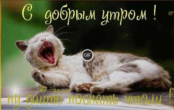 Доброе утро gif прикольные картинки