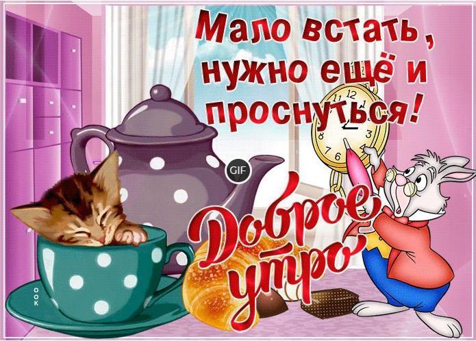 Скачать бесплатно гифки с добрым утром и хорошего настроения