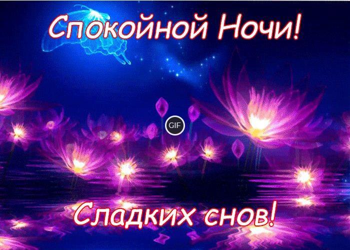 Гифки спокойной ночи сладких снов от души тебе желаю