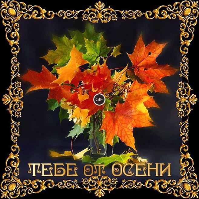 Гифки осенний букет