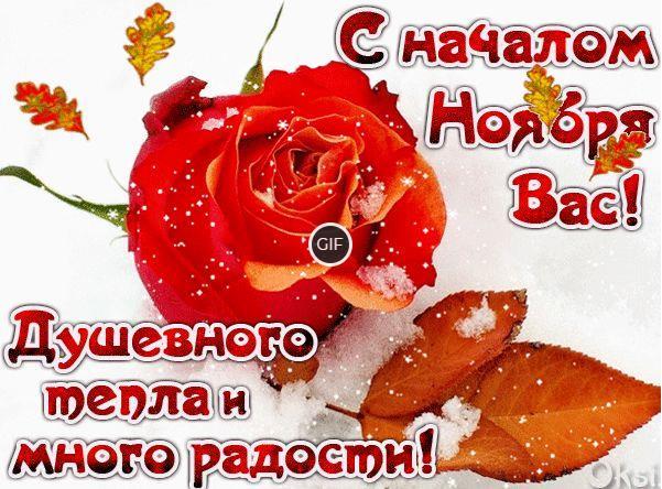 Гифки с 1 ноября
