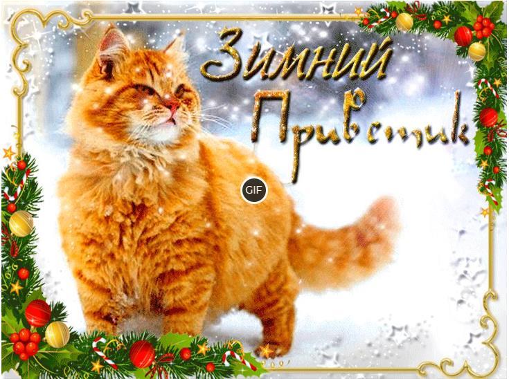 Гифки зимний декабрьский привет