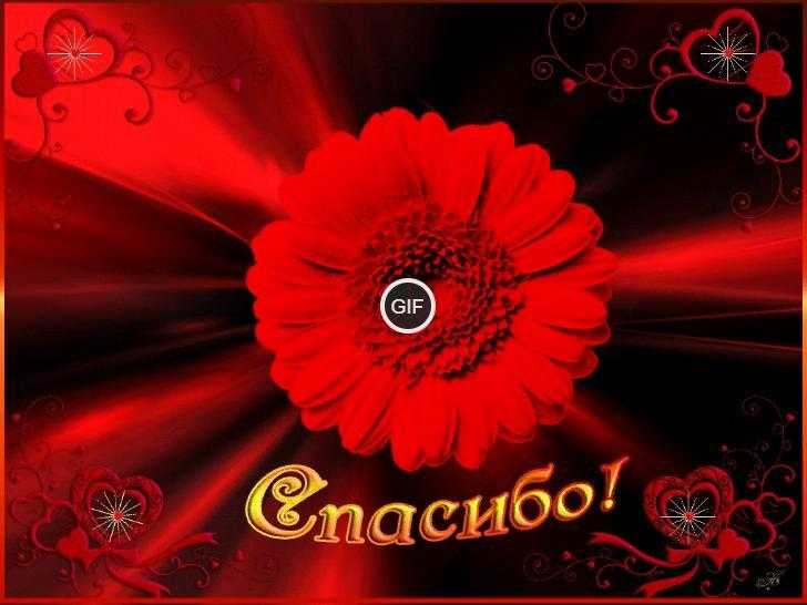 Анимация спасибо