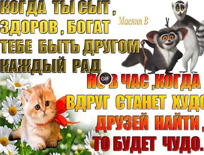Гифки прикольные про жизнь с надписями со смыслом