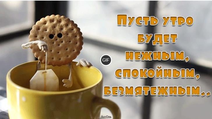 Гифки с добрым утром смешные