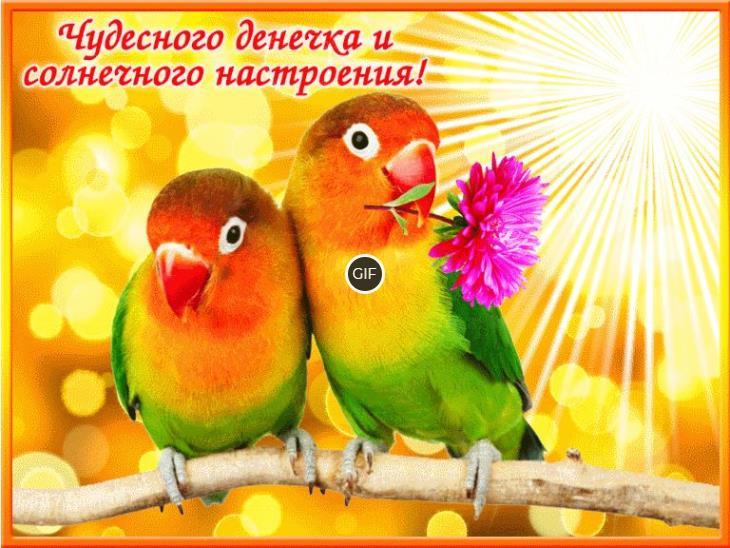 Доброе утро гифки красивые для хорошего настроения