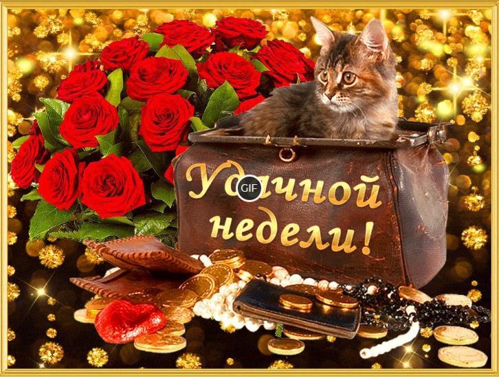Гифки удачной недели