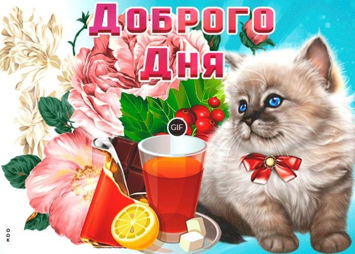 Открытки добрый день