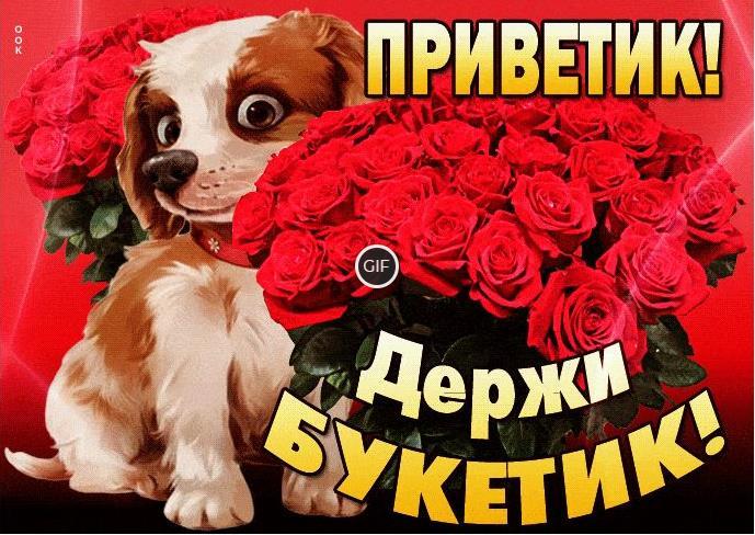 Открытки привет прикольные гиф