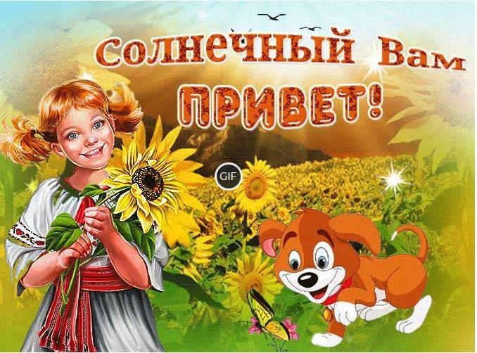 Привет гифки очень красивые