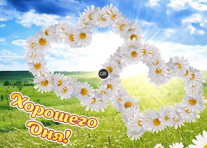 Доброго дня гифки