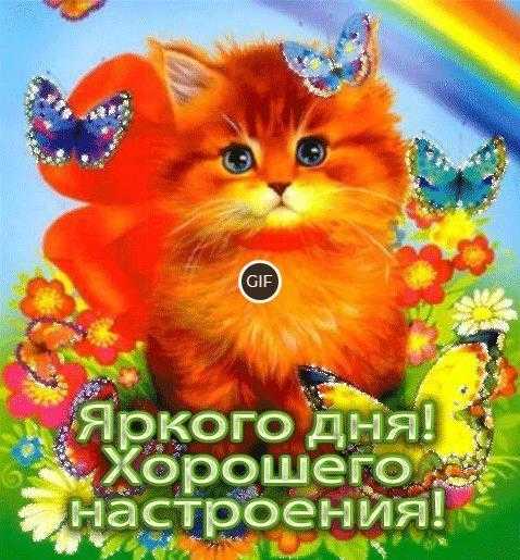 Гифки удачного дня и хорошего настроения