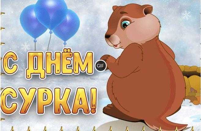 Гифки с днём Сурка 2 Февраля (30 gif картинок)