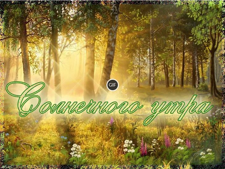 Доброе утро картинки красивые необычные