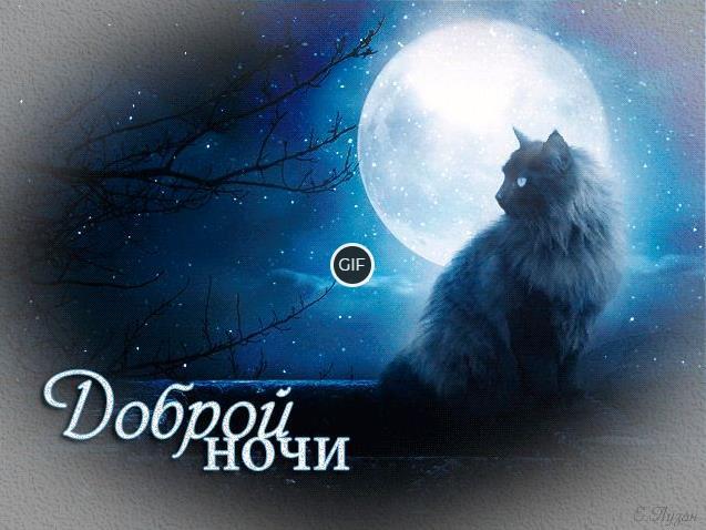 Спокойной ночи картинки красивые необычные движущиеся