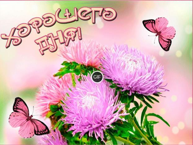 Гифки Добрый день красивые картинки