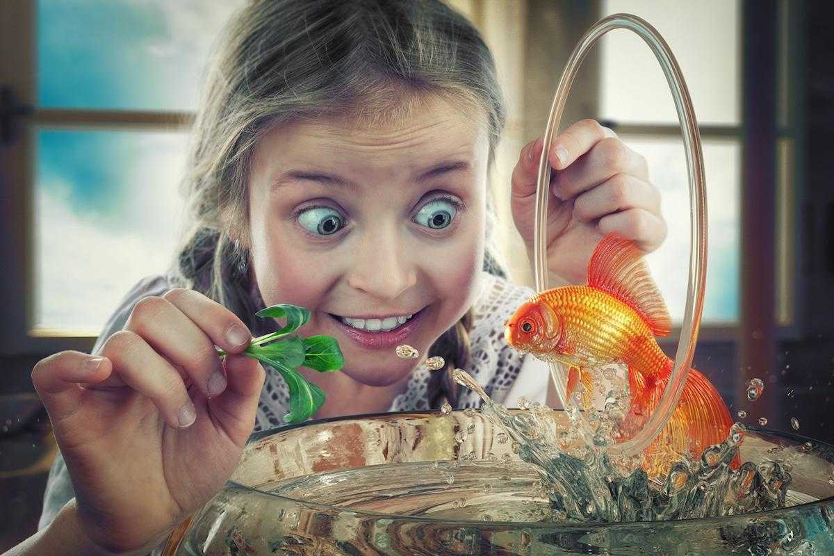 Творческий папа фотографирует своих детей в самых смешных ситуациях