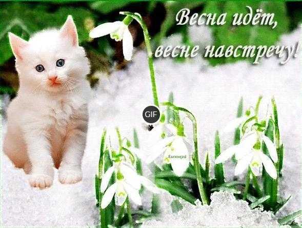 Гифки весна идет весне дорогу