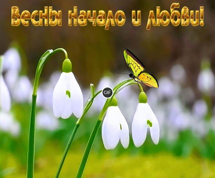 Красивые весенние гифки