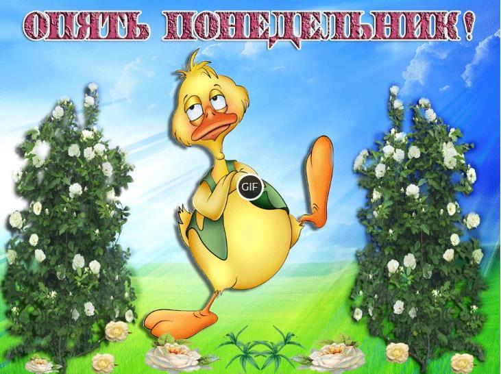 Доброе утро понедельника гифки