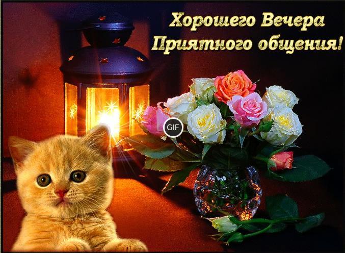 Хорошего вечера gif картинки красивые