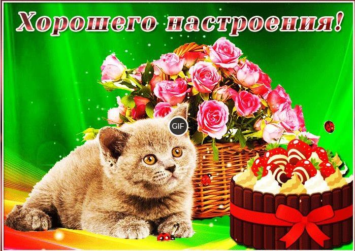 Гифки хорошего дня и прекрасного настроения