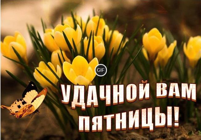 Пятница гифки прикольные