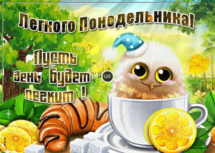 Гифки доброго понедельника