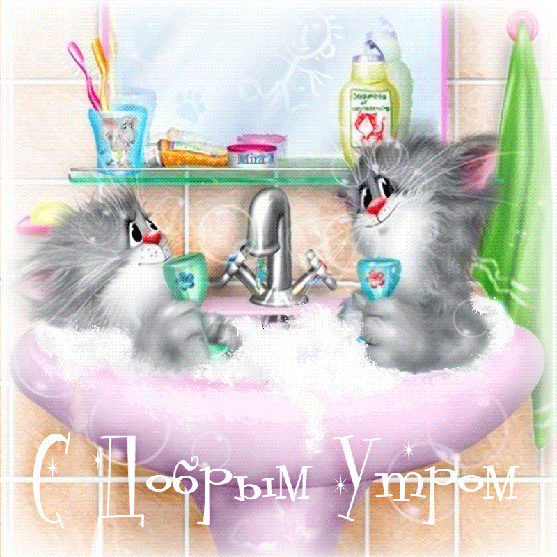 Доброе утро gif прикольные картинки Доброе утро gif прикольные картинки