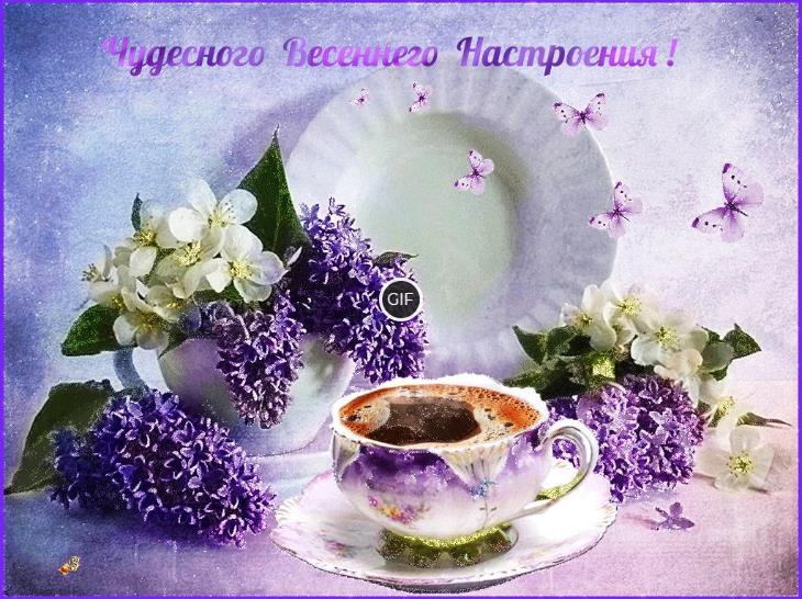 Гифки доброе весеннее утро