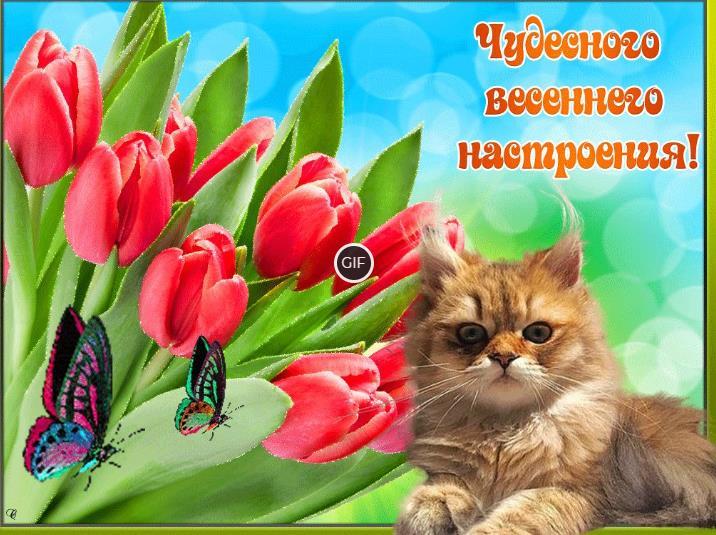 Гифки весеннего настроения