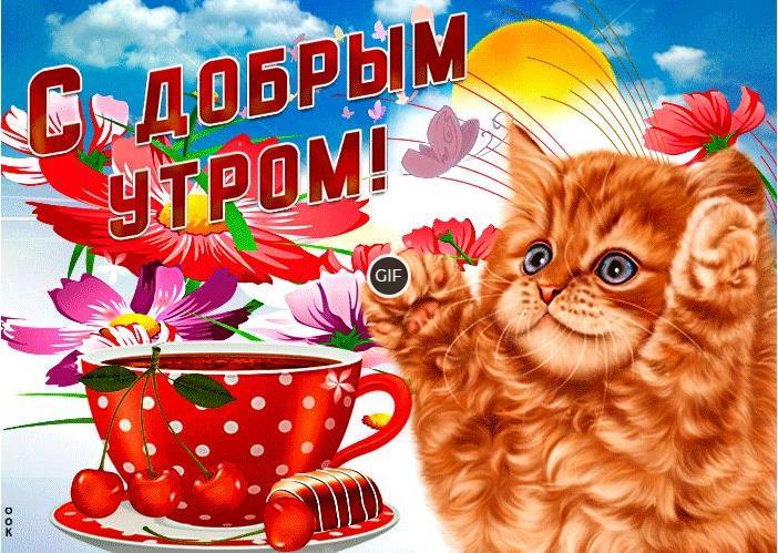 C добрым утром гифки открытки с животными