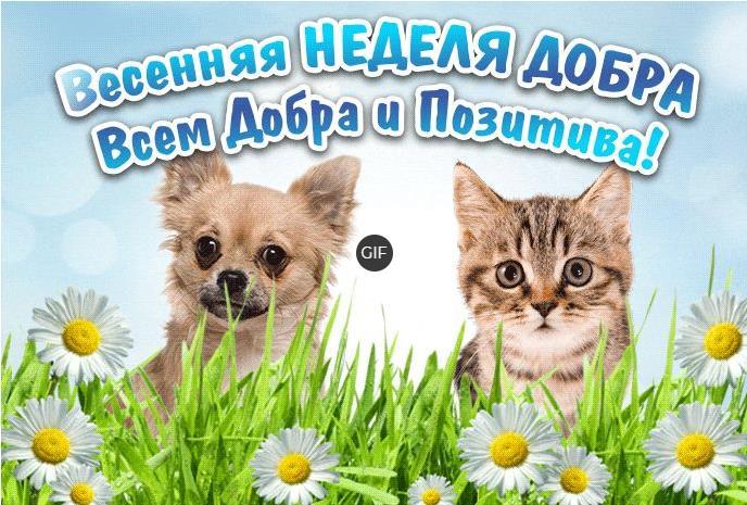 Гифки Весенние красивые с хорошими пожеланиями