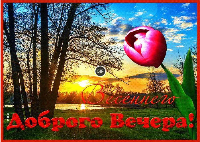 Анимация доброго вечера