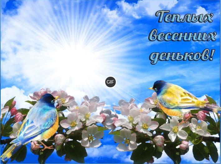 Доброго весеннего дня картинки