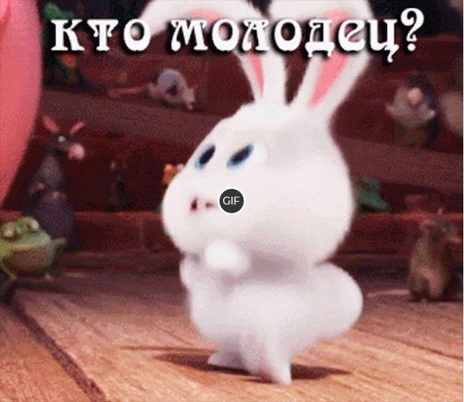 Гифка кто молодец я молодец