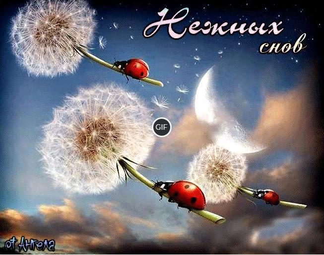 Спокойной ночи картинки красивые необычные нежные женщине
