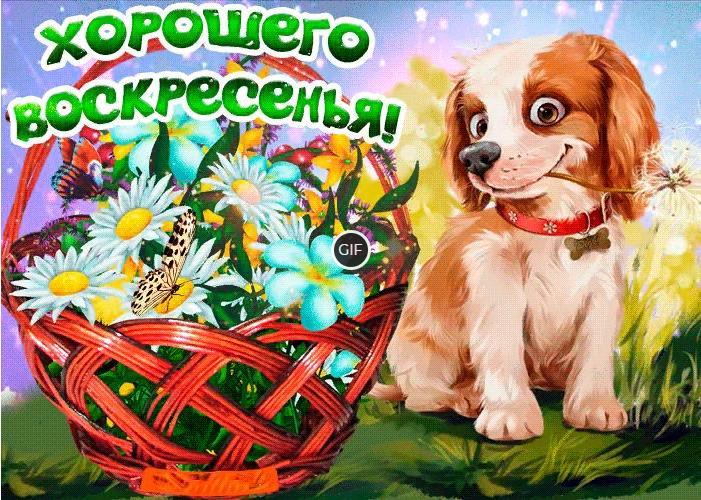 Чтобы скачать гифки на нашем сайте просто кликните по ней правой кнопкой мышки и нажмите «сохранить картинку как…» или просто удерживайте пальцем, если вы зашли с мобильного. Скачивайте Gif анимацию на нашем сайте совершенно бесплатно. Жмите на звёздочки, если вам понравилось. Пишите в комментариях какие подборки гифок вам хотелось бы увидеть на сайте и мы обязательно их добавим !!!