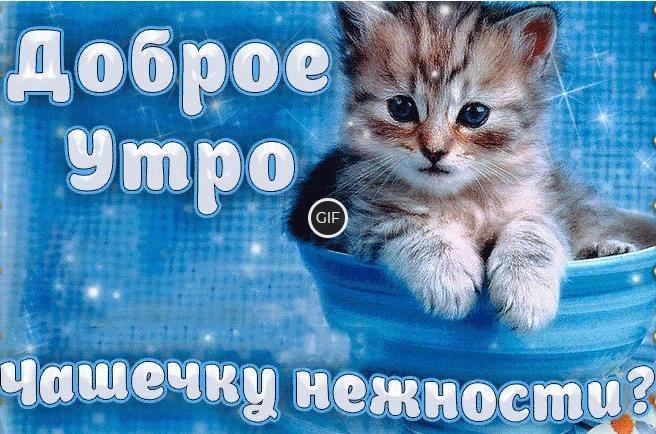 Доброе прекрасное утро гифки