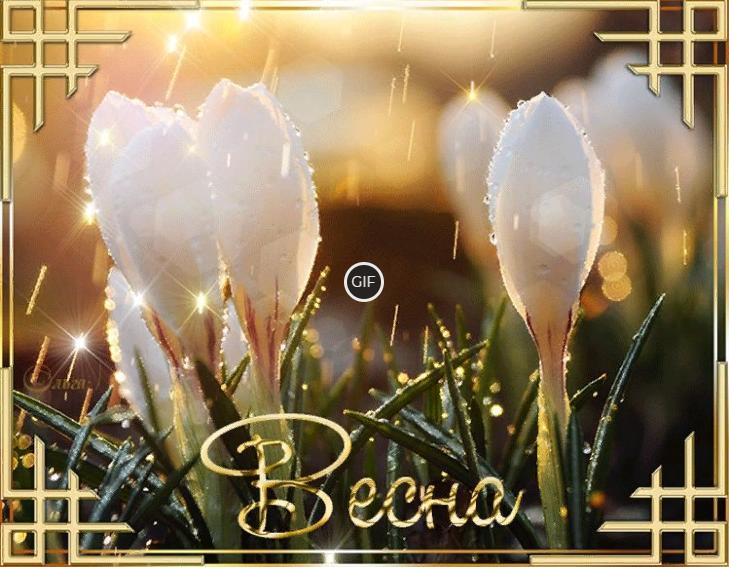 Гифка весна прикольная