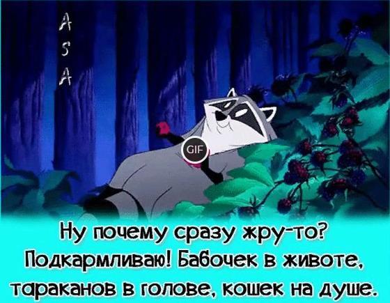 Прикольные гифки с надписями