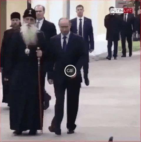 Смешная гифка голубь отдает честь Путину