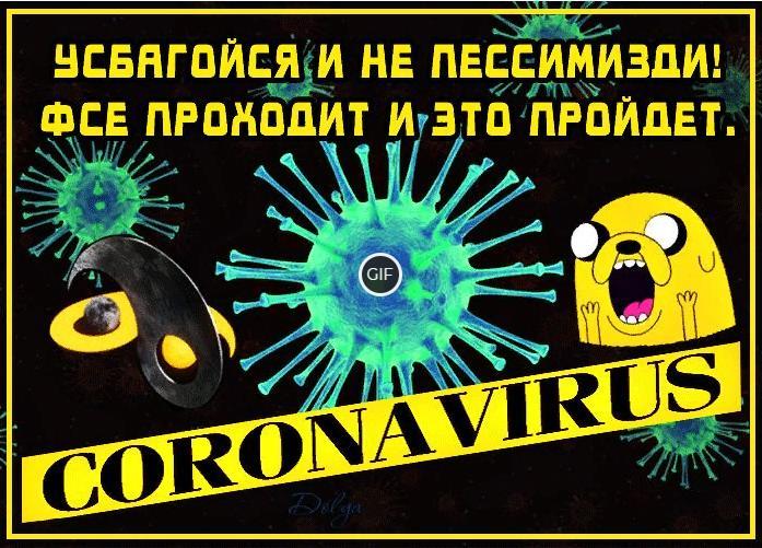 Картинка коронавирус не пройдет шуточная