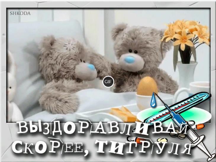 Гифка выздоравливай скорее, тигруля