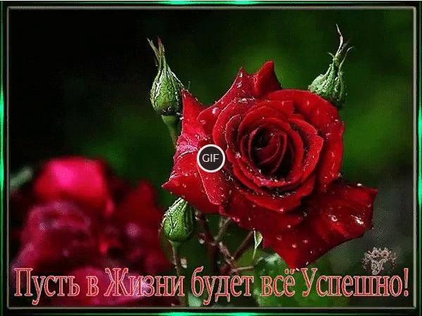Гифка Пусть в Жизни всё будет успешно