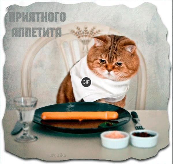 Прикольная гифка приятного аппетита